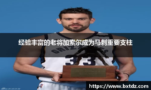 立博官网